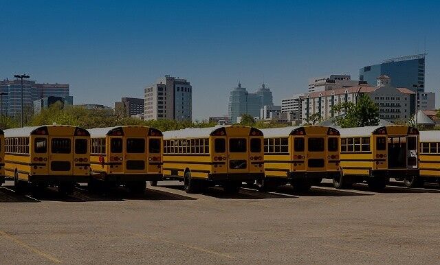 Texas School Bus Laws